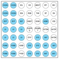 Battery Management IC
