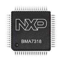 Battery Management IC