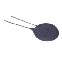 Inrush Current Limiter