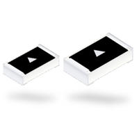 Power Resistor