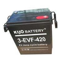 Electric Vehicle Battery