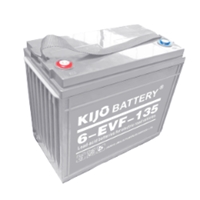 Electric Vehicle Battery