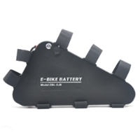 EV Battery