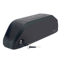 EV Battery