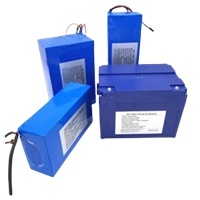 EV Battery