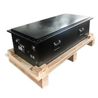 EV Battery