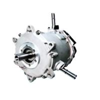 EV Traction Motor