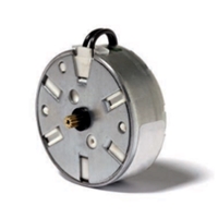 EV Traction Motor