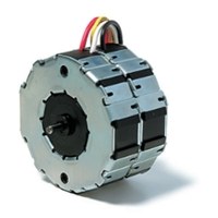 EV Traction Motor