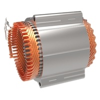 EV Traction Motor
