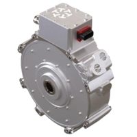 EV Traction Motor