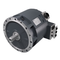 EV Traction Motor