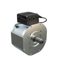 EV Traction Motor