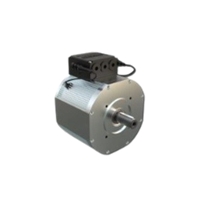 EV Traction Motor