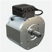 EV Traction Motor