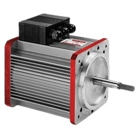 EV Traction Motor
