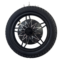 EV Traction Motor