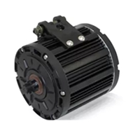 EV Traction Motor