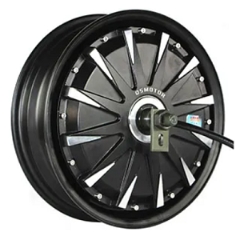 12inch Hub Motor Image