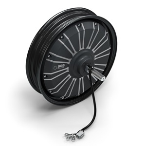48V Hub Mount Light Electric Machine Series Image