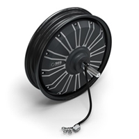 EV Traction Motor