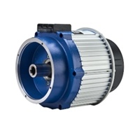 EV Traction Motor