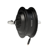 EV Traction Motor