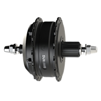 EV Traction Motor