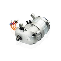EV Traction Motor