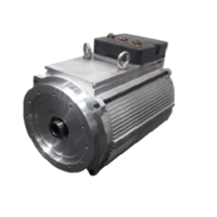 EV Traction Motor