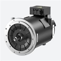 EV Traction Motor
