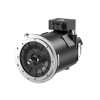 EV Traction Motor