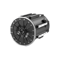 EV Traction Motor