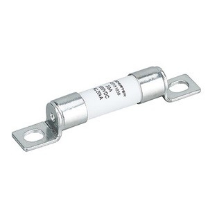 <p>25 A Electric Vehicle Fuse</p>
