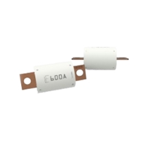 EV Fuse