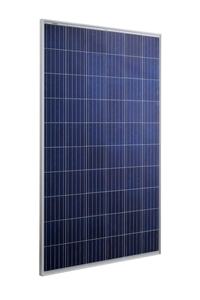 Polycrystalline Line - 275P Image