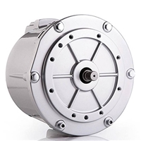 EV Traction Motor