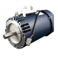 EV Traction Motor