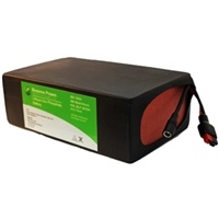 Electric Vehicle Battery